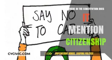 The Constitution's Citizenship Clause: Rights and Privileges