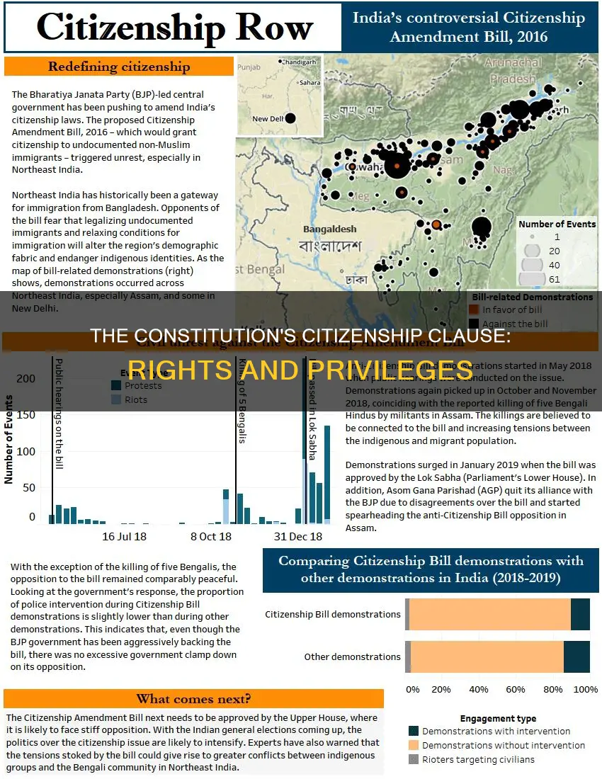 where in the constitution does it mention citizenship