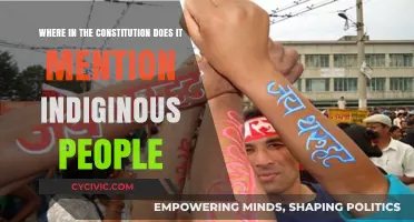 Indigenous People: Where in the Constitution?