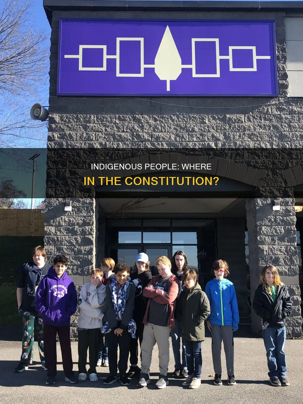where in the constitution does it mention indiginous people