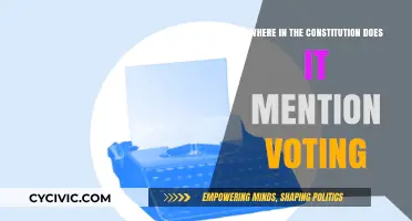 The Constitution's Voting Rights: Where Are They?