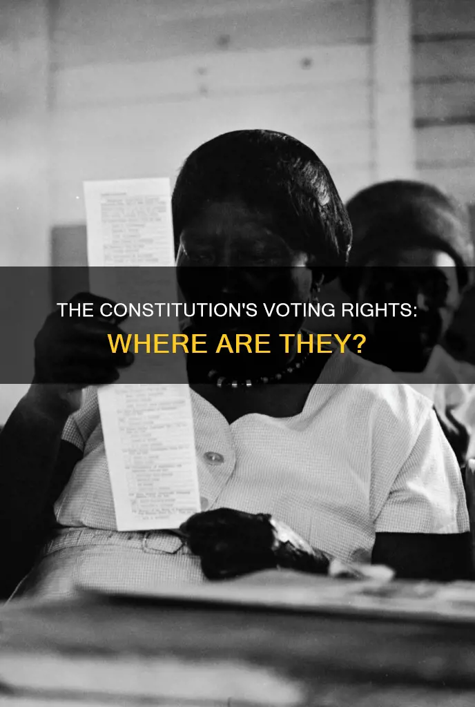 where in the constitution does it mention voting