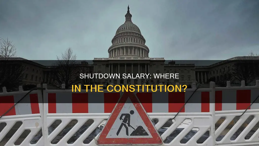 where in the constitution does it salary during shutdown