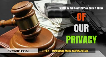 The Constitution and Privacy: What's the Connection?