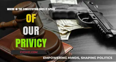 The Constitution and Privacy: What's the Connection?