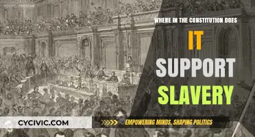 Slavery's Constitutional Roots: Examining the US Constitution's Dark Legacy