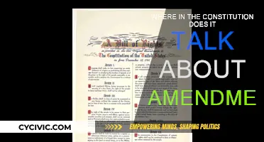 Amendments: The Constitution's Evolution and Adaptation