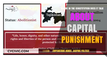 Capital Punishment: Is it in the Constitution?