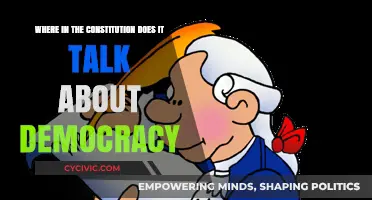 The Constitution's Democratic Foundations: Exploring Its Core Principles