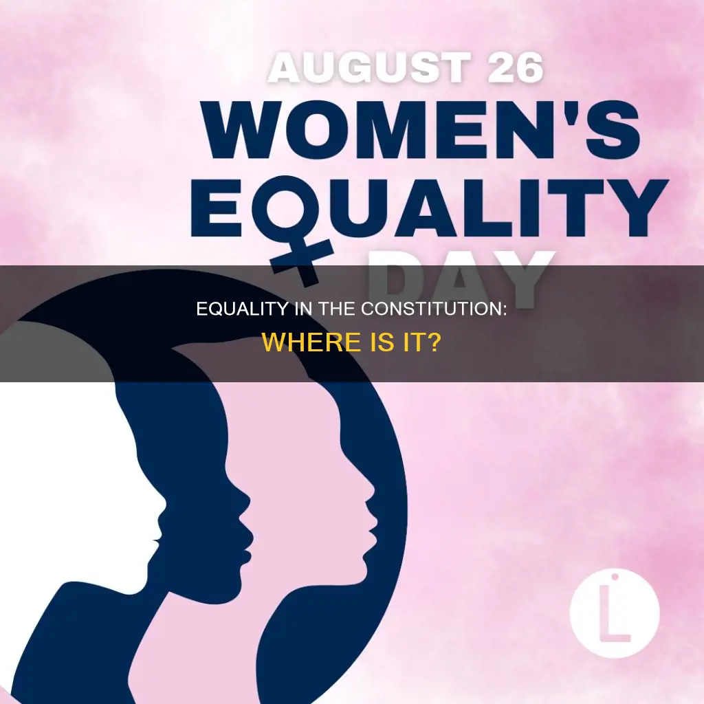 where in the constitution does it talk about equality