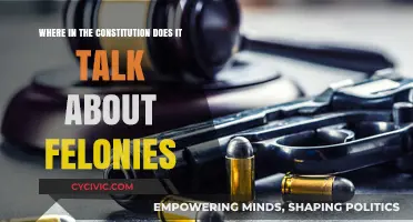 The Constitution's Felony Focus: Where and Why?