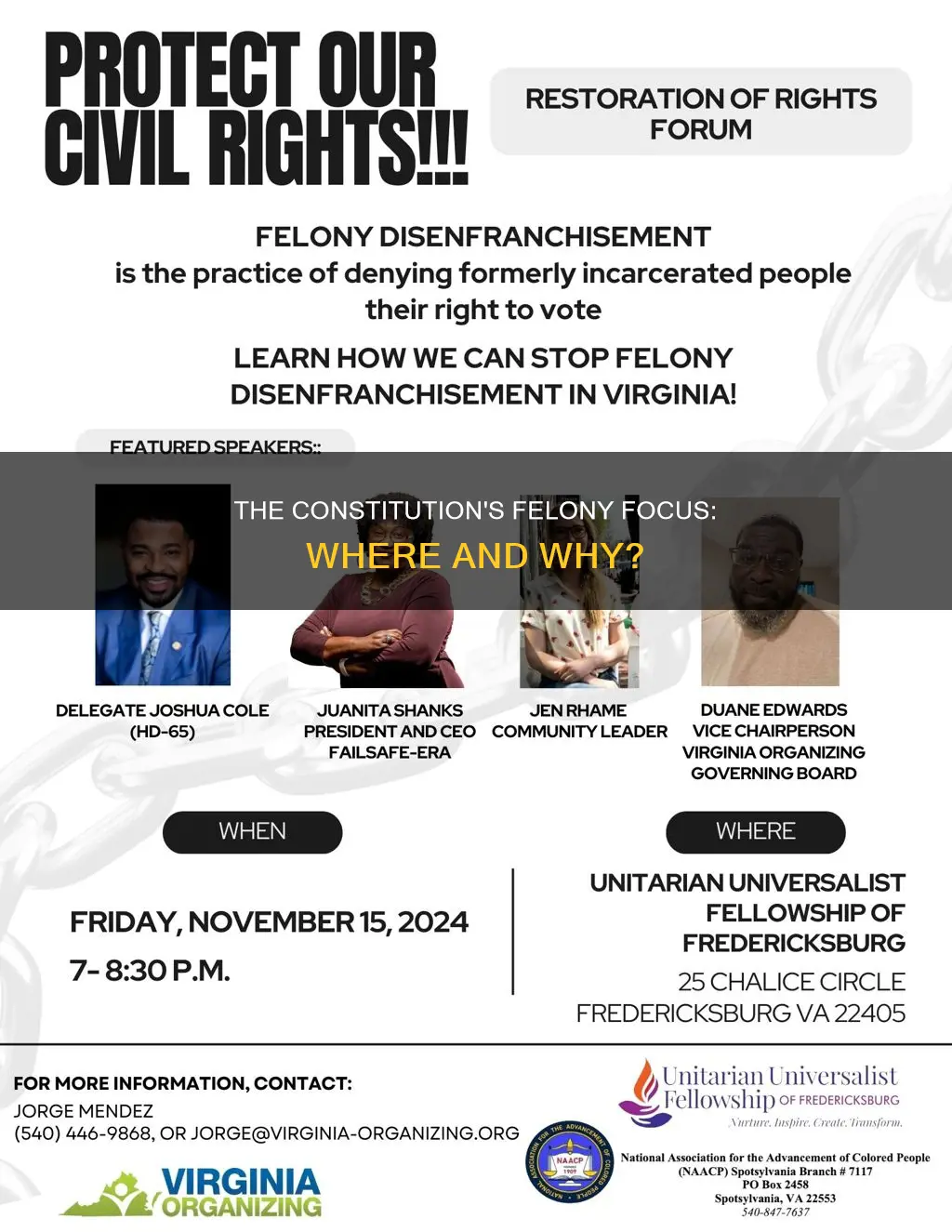 where in the constitution does it talk about felonies