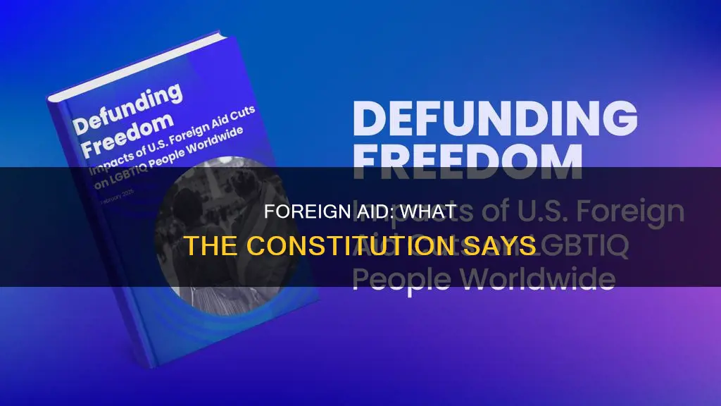 where in the constitution does it talk about foreign aid
