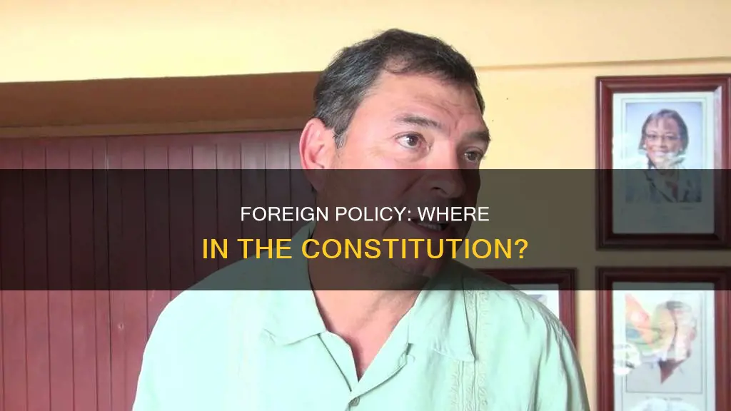where in the constitution does it talk about foreign policy