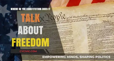 The Constitution's Freedom Fundamentals