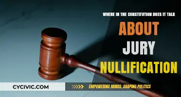 The Constitution's Jury Nullification Clause Explained