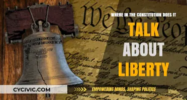 The Constitution's Liberty: Where is it Written?