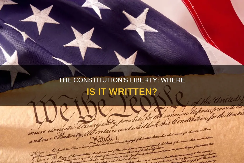 where in the constitution does it talk about liberty