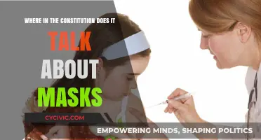 Masks and the Constitution: Where's the Connection?