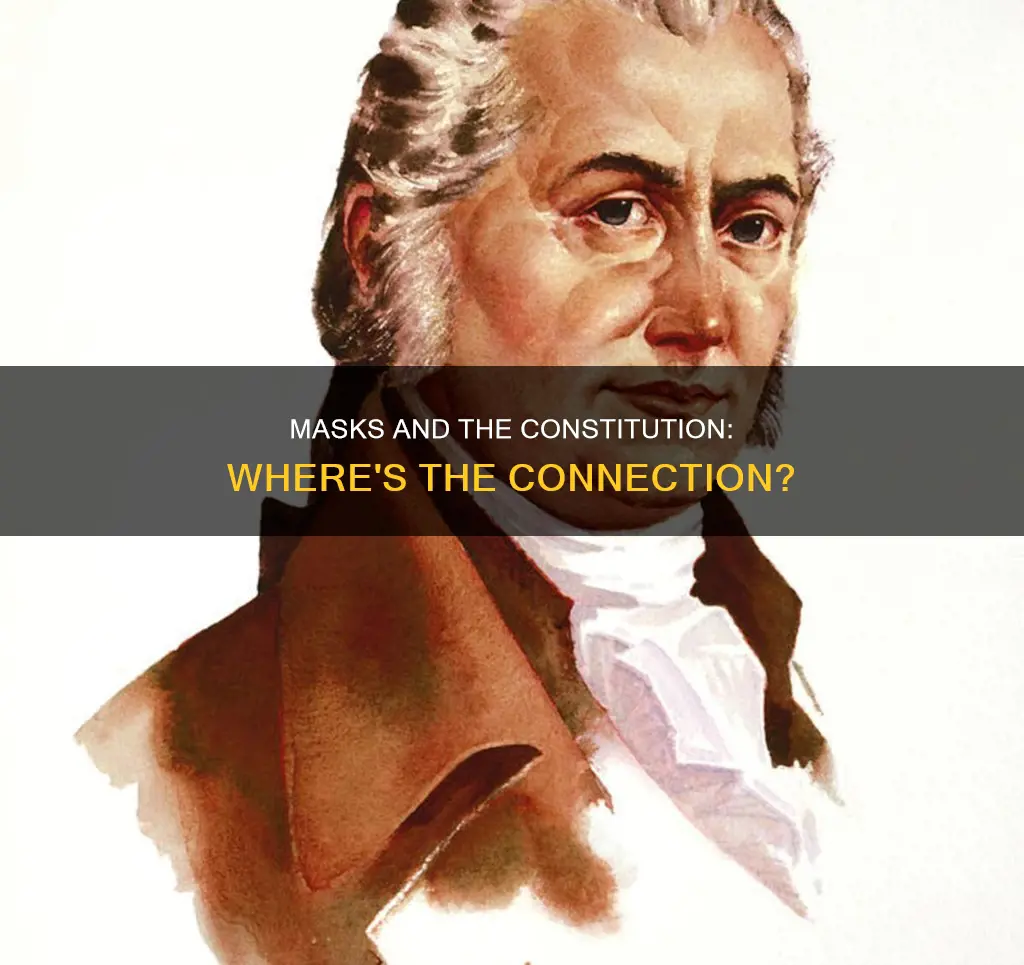 where in the constitution does it talk about masks