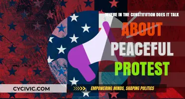 The Right to Peaceful Protest: Constitutional Foundation