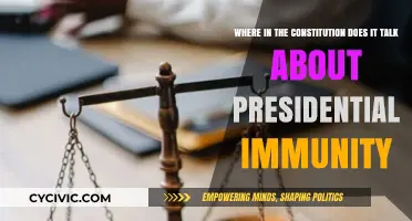 Presidential Immunity: What Does the Constitution Say?