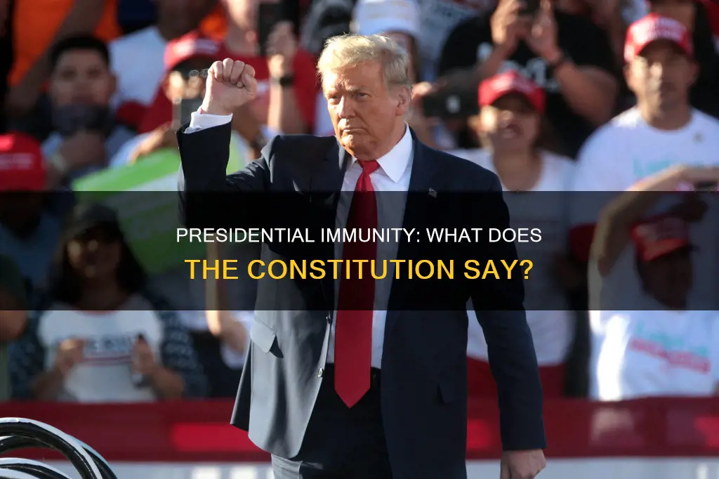 where in the constitution does it talk about presidential immunity