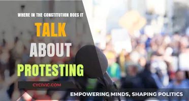 The Right to Protest: What the Constitution Says