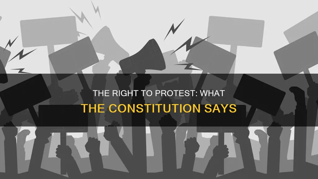 where in the constitution does it talk about protesting