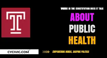 The Constitution's Public Health Provisions: Exploring the Text