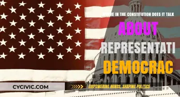 The Constitution's Core: Representative Democracy