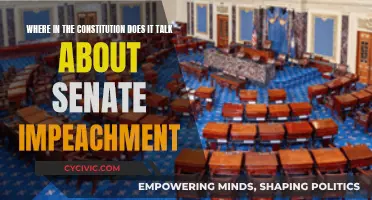Impeachment Powers: Senate's Role in the US Constitution