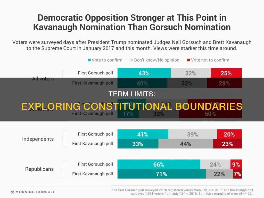 where in the constitution does it talk about term limits