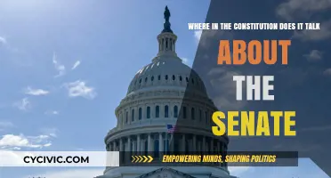 Senate Mentioned in Constitution's Article One