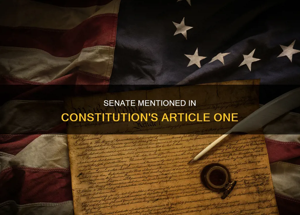 where in the constitution does it talk about the senate