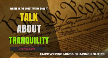 Constitution's Tranquility Clause: A Guide to the Preamble's Promise
