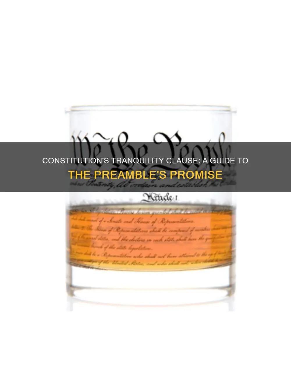 where in the constitution does it talk about tranquility