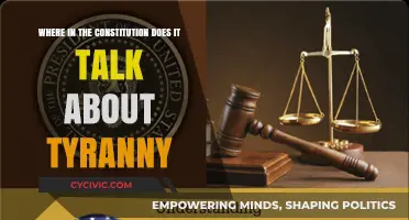 The Constitution's Tyranny Safeguards: Where Are They?
