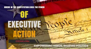 Executive Power: Where Does the Constitution Grant It?