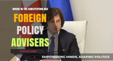 Foreign Policy Advisers: Their Place in the Constitution