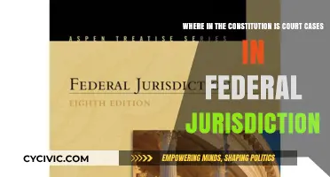 Federal Jurisdiction: Where the Constitution Guides Court Cases