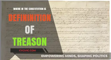 Exploring Treason's Definition in the Constitution