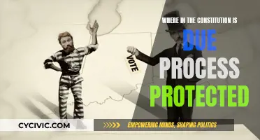 The Constitution's Due Process Protection: A Fundamental Right