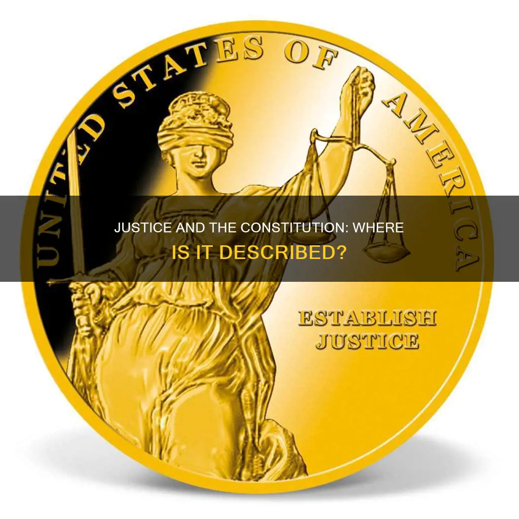 where in the constitution is establish justice described