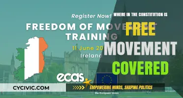 The Constitution's Free Movement Clause Explored