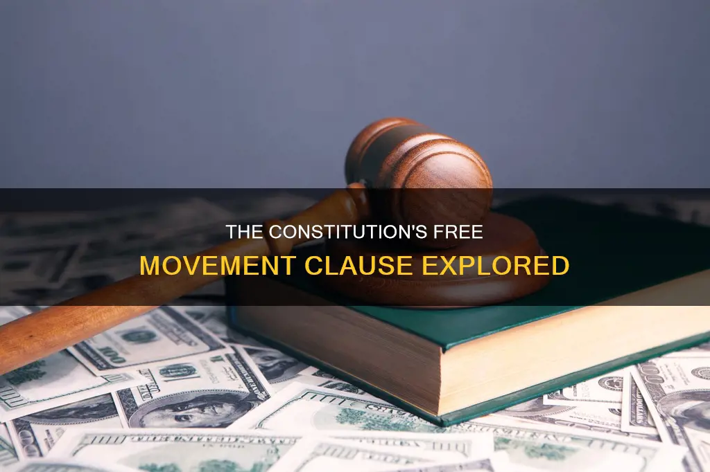 where in the constitution is free movement covered