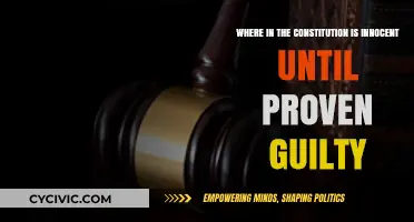 Innocent Until Proven Guilty: The Constitution's Promise