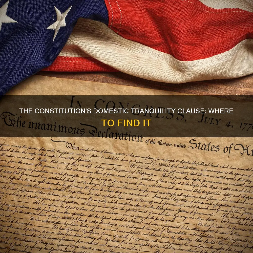 where in the constitution is insure domestic tranquility described