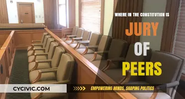 The Right to a Jury of Peers: Constitutional Roots
