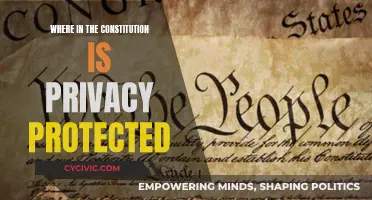 Privacy Protection: Where in the Constitution?